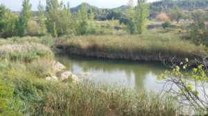 Foto de Finca de regadío en Caseras con casa y masía tradicional. en venta con huerto por 190.000€