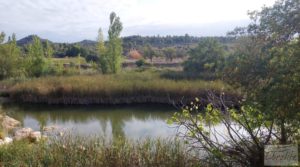 Finca de regadío en Caseras con casa y masía tradicional. en venta con huerto