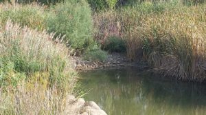 Detalle de Finca de regadío en Caseras con casa y masía tradicional. con paneles solares