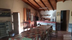 Se vende Finca de regadío en Caseras con casa y masía tradicional. con paneles solares por 190.000€