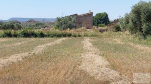 Casa de campo en Caspe. a buen precio con agua abundante por 120.000€