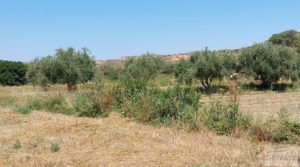 Vendemos Casa de campo en Caspe. con buenos accesos