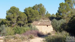 Vendemos Finca en Mazaleón de olivos y almendros con casa de piedra. con cisterna subterránea