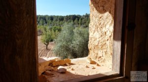 Foto de Finca en Mazaleón de olivos y almendros con casa de piedra. en venta con olivos