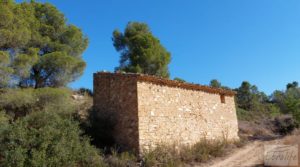 Foto de Finca en Mazaleón de olivos y almendros con casa de piedra. con olivos