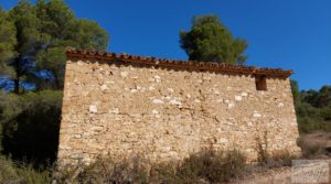 Finca en Mazaleón de olivos y almendros con casa de piedra. a buen precio con cisterna subterránea por 39.000€