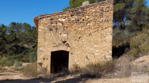 Detalle de Finca en Mazaleón de olivos y almendros con casa de piedra. con olivos