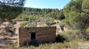 Finca en Mazaleón de olivos y almendros con casa de piedra. en oferta con cisterna subterránea por 39.000€