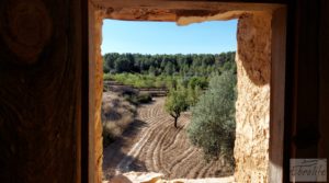 Finca en Mazaleón de olivos y almendros con casa de piedra. en venta con cisterna subterránea