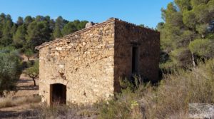 Vendemos Finca en Mazaleón de olivos y almendros con casa de piedra. con almendros