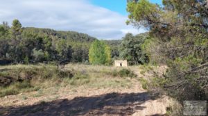 Se vende Finca en Fórnoles de 9,2 hectáreas con casa de piedra con gran privacidad