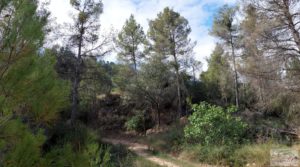 Finca en Fórnoles de 9,2 hectáreas con casa de piedra para vender con gran privacidad