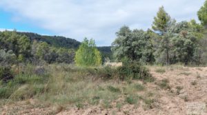 Finca en Fórnoles de 9,2 hectáreas con casa de piedra en venta con gran privacidad