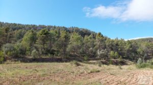 Se vende Finca en Fórnoles de 9,2 hectáreas con casa de piedra con frutales por 70.000€