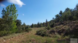 Foto de Finca en Fórnoles de 9,2 hectáreas con casa de piedra con olivos por 70.000€