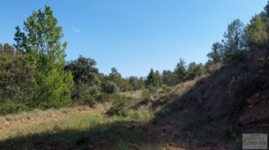 Detalle de Finca en Fórnoles de 9,2 hectáreas con casa de piedra con gran privacidad