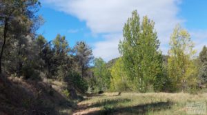 Finca en Fórnoles de 9,2 hectáreas con casa de piedra en venta con gran privacidad