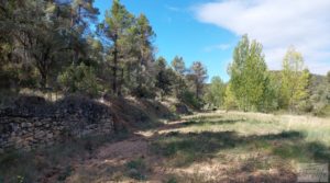 Foto de Finca en Fórnoles de 9,2 hectáreas con casa de piedra en venta con olivos por 70.000€