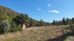 Foto de Finca en Fórnoles de 9,2 hectáreas con casa de piedra con frutales por 70.000€