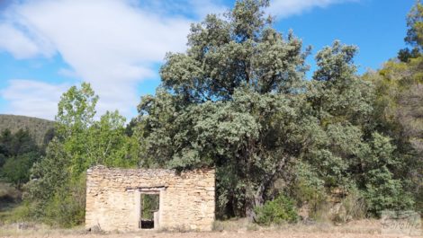 Finca de regadío en Caspe, tranquila y con buenos accesos.