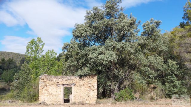 Finca de regadío en Caspe, tranquila y con buenos accesos.