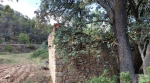 Foto de Finca en Fórnoles de 9,2 hectáreas con casa de piedra con gran privacidad