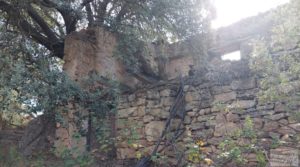 Foto de Finca en Fórnoles de 9,2 hectáreas con casa de piedra en venta con frutales por 70.000€