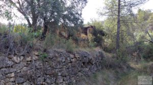 Finca en Fórnoles de 9,2 hectáreas con casa de piedra en oferta con frutales