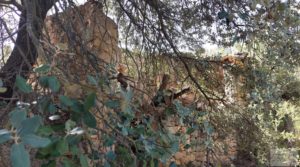 Detalle de Finca en Fórnoles de 9,2 hectáreas con casa de piedra con gran privacidad