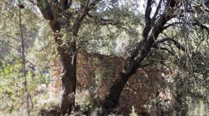 Foto de Finca en Fórnoles de 9,2 hectáreas con casa de piedra con gran privacidad por 70.000€