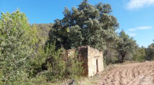 Se vende Finca en Fórnoles de 9,2 hectáreas con casa de piedra con frutales