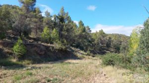 Finca en Fórnoles de 9,2 hectáreas con casa de piedra en oferta con olivos