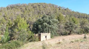 Finca en Fórnoles de 9,2 hectáreas con casa de piedra para vender con frutales