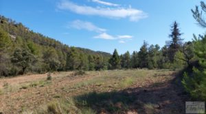 Finca en Fórnoles de 9,2 hectáreas con casa de piedra para vender con frutales