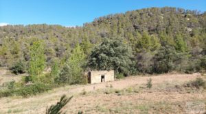 Finca en Fórnoles de 9,2 hectáreas con casa de piedra en oferta con gran privacidad