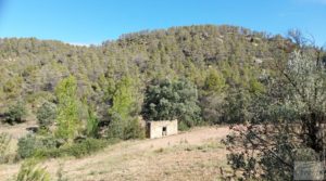 Foto de Finca en Fórnoles de 9,2 hectáreas con casa de piedra con gran privacidad por 70.000€