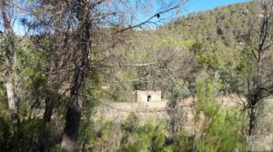 Foto de Finca en Fórnoles de 9,2 hectáreas con casa de piedra con gran privacidad