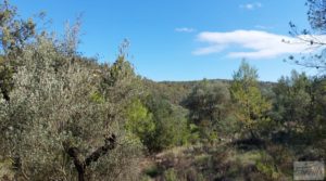 Vendemos Finca en Fórnoles de 9,2 hectáreas con casa de piedra con olivos