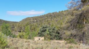 Foto de Finca en Fórnoles de 9,2 hectáreas con casa de piedra con gran privacidad por 70.000€