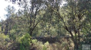 Detalle de Finca en Fórnoles de 9,2 hectáreas con casa de piedra con gran privacidad por 70.000€