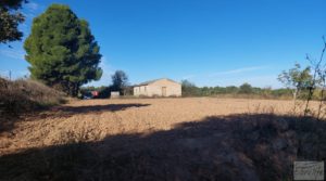 Foto de Finca de regadío en Caspe, tranquila y con buenos accesos. con tranquilidad