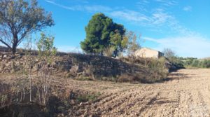 Detalle de Finca de regadío en Caspe, tranquila y con buenos accesos. con tranquilidad por 36.000€