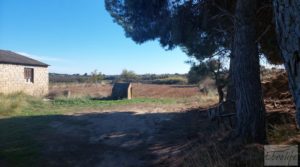 Finca de regadío en Caspe, tranquila y con buenos accesos. a buen precio con tranquilidad