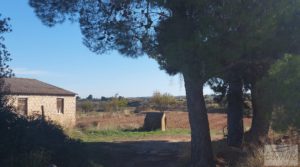 Detalle de Finca de regadío en Caspe, tranquila y con buenos accesos. con tranquilidad