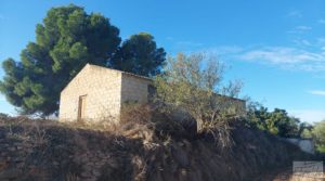 Detalle de Finca de regadío en Caspe, tranquila y con buenos accesos. con tranquilidad