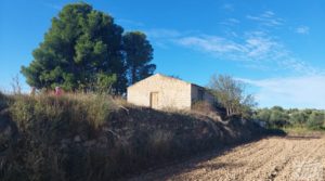 Finca de regadío en Caspe, tranquila y con buenos accesos. en venta con buenos accesos