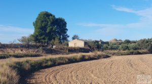 Vendemos Finca de regadío en Caspe, tranquila y con buenos accesos. con regadío