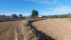 Foto de Finca de regadío en Caspe, tranquila y con buenos accesos. en venta con regadío