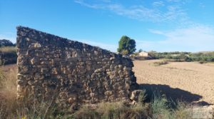 Detalle de Finca de regadío en Caspe, tranquila y con buenos accesos. con regadío