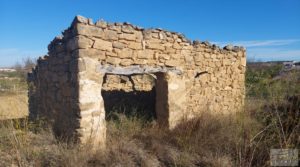 Finca de regadío en Caspe, tranquila y con buenos accesos. para vender con tranquilidad